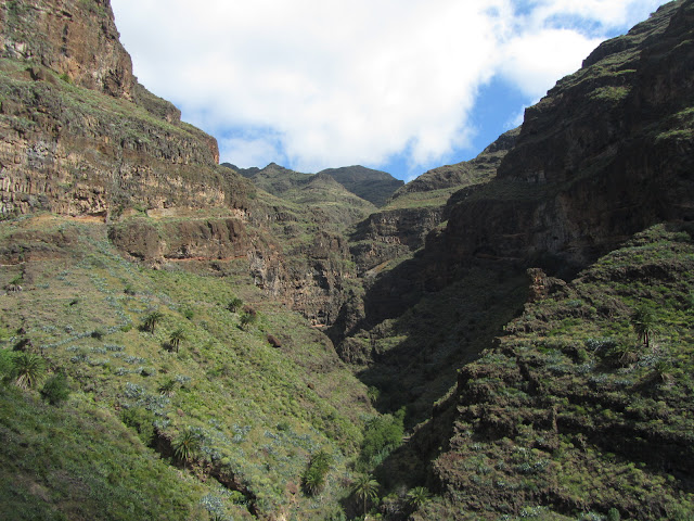 LA GOMERA EL RUMBAZO-IMADA-PAJARITO-MIRADOR LOS ROQUES-BENCHIJIGUA-EL RUMBAZO, Barranco de Guarímiar