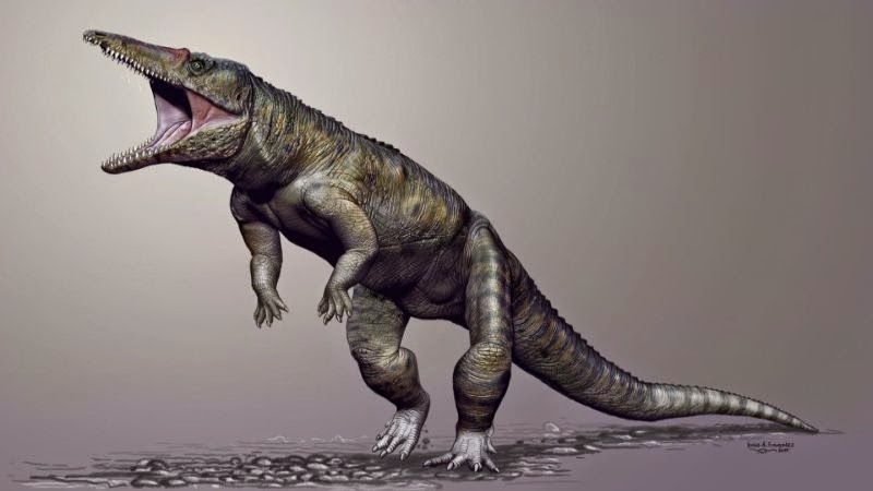 Blog tips dan trik trik gampang kali ini bakal menyebarkan informasi menarik untuk juragan semua Wow Buaya Adalah Predator Paling Tua Dibanding Dinosaurus