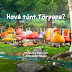  07. (104A) Hová tűnt Törpapa?