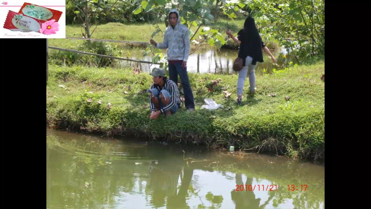  Video Mancing Ikan Gurameh