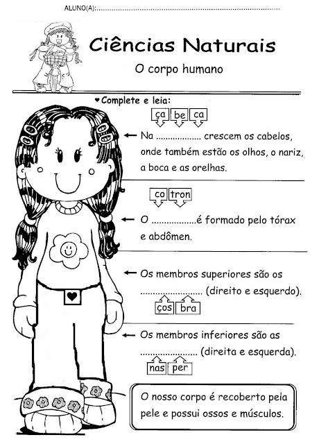 Atividades ciências 3 ano fundamental