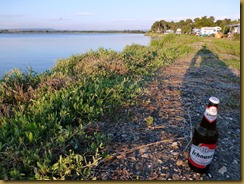 P1020159 P1020159