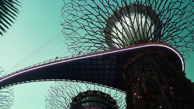 Network at Garden by the Bay to visualize supply chain