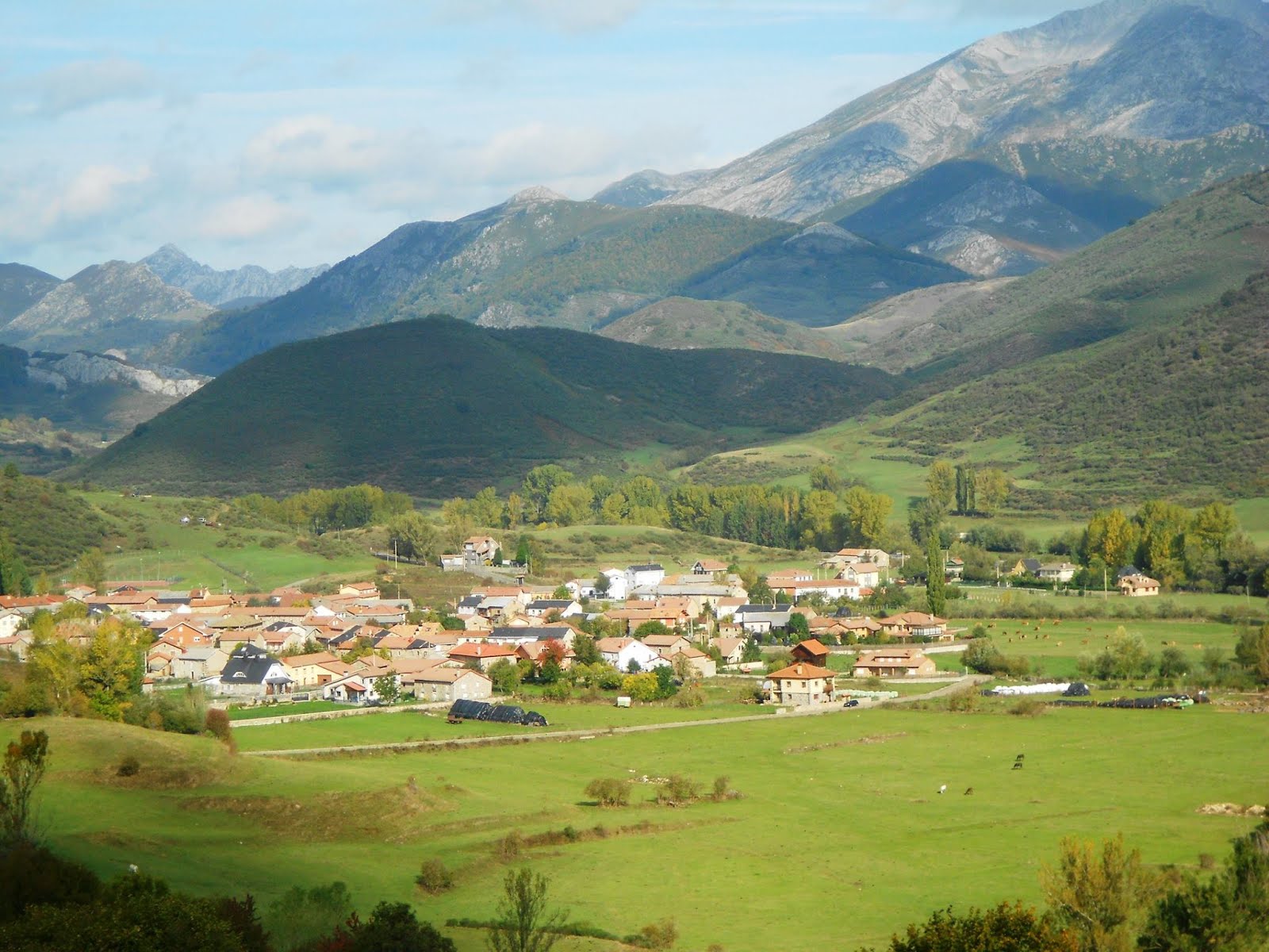 ACEBEDO