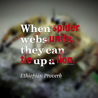 Display Picture Spider Unite