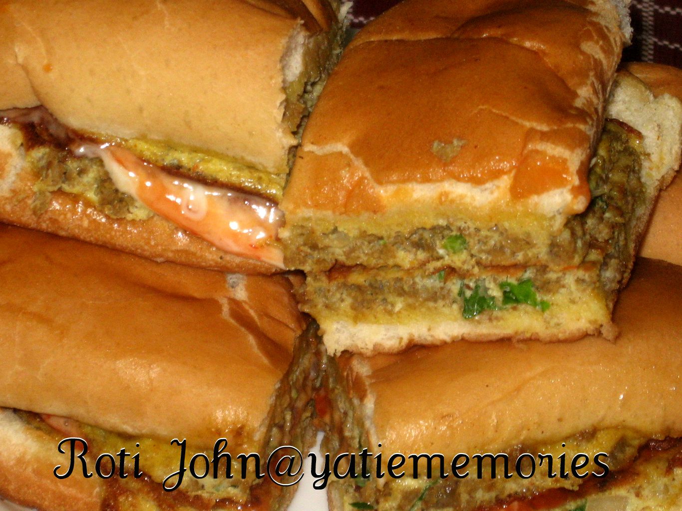 Sinar Kehidupanku**~::: Roti John