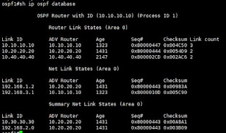 Top Basic troubleshooting commands for Routings -Show IP protocol Database
