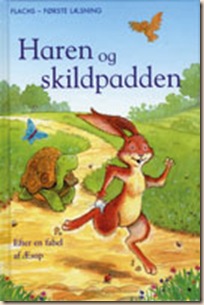 skildpadde