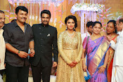 Amala paul vijay reception-thumbnail-10