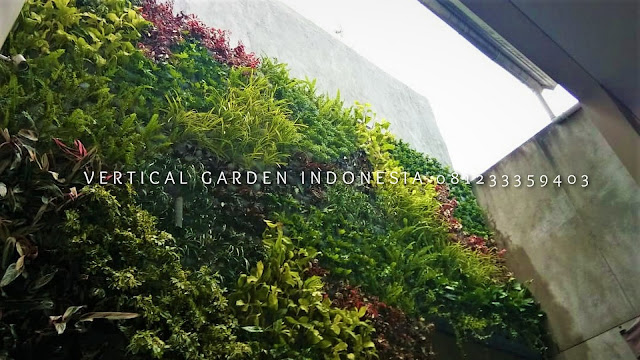 VERTICAL GARDEN INDONESIA SPESIALIS JASA PEMBUATAN VERTICAL GARDEN DI KLATEN JAWA TENGAH DAN DI SELURUH WILAYAH JAWA TENGAH DENGAN TENAGA YANG PROFESIONAL DAN DAPAT DI PERCAYA YANG SELALU MENGUTAMAKAN SEBUAH MUTU DAN KUALITAS PEMASANGAN VERTICAL GARDEN/TAMAN DINDING, JASA TUKANG TAMAN VERTICAL KLATEN JAWA TENGAH, JASA VERTICAL GARDEN KLATEN JAWA TENGAH