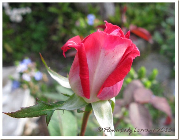 02-06-love2