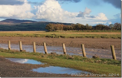 22-Wigtown-harbour