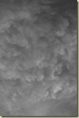 JB_20090613_0246
