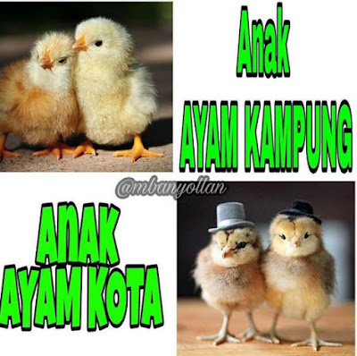 10 Meme 'Nggak Jelas' Ini Kocaknya Kerasa Banget Sampe Ke Ubun-ubun