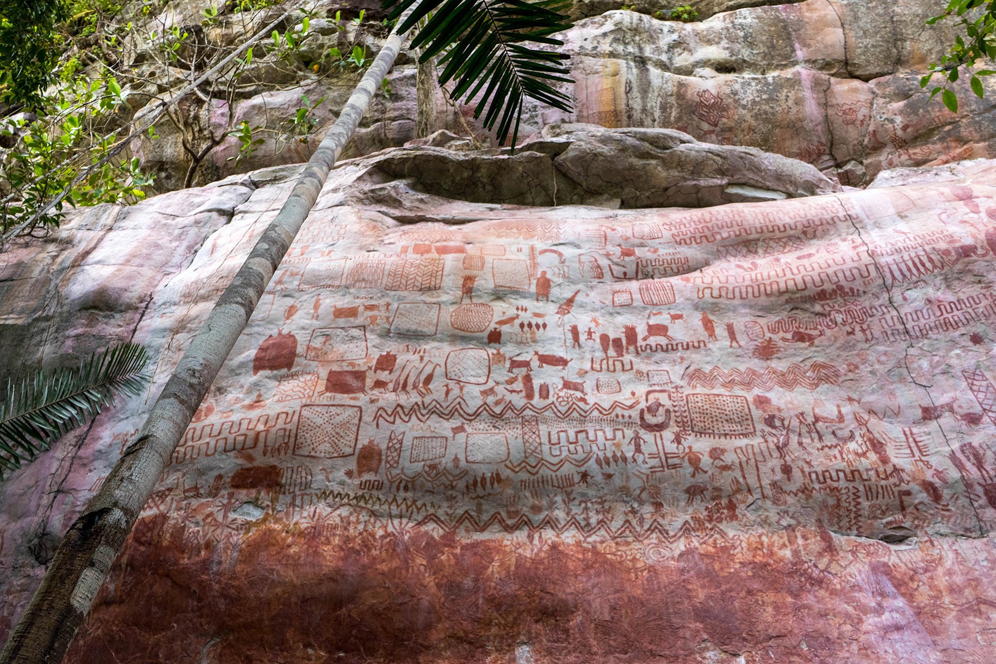 Temukan puluhan ribu lukisan batu di Amazon yang berusia 12.500 tahun
