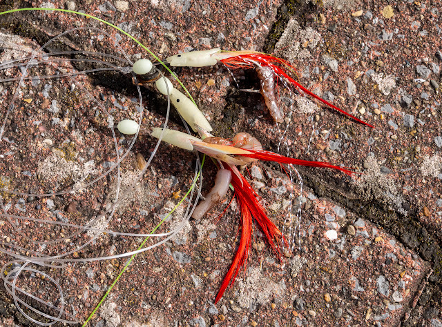 Photo of the fishing hooks that Ruby found by the lighthouse