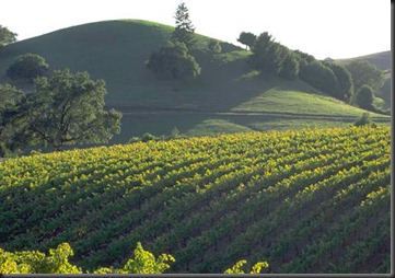 California Wine Country_Overview