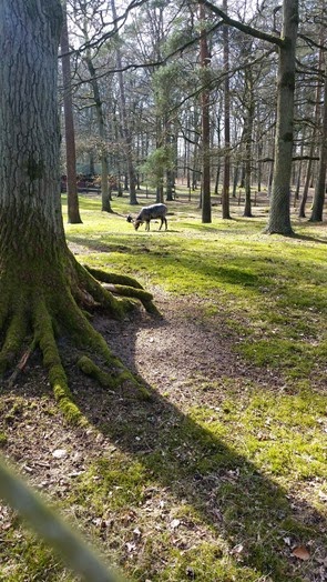 20150406_145541