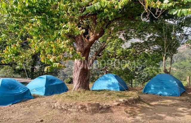  Camping spots in Munnar, Munnar camping, Tent Camping With Campfire In Munnar, munnar trekking and camping