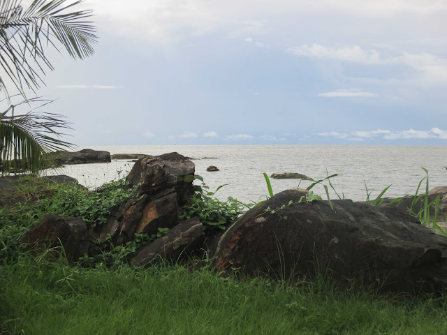 Guyane, Cayenne, pointe buzaré, océan, pique-nique