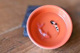 polymer clay Koi in bowls