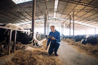 Basados en la constitución de plantas y animales, que suelen ser las principales fuentes de alimento, los alimentos poseen dos componentes básicos, que son la materia seca y el agua. La materia seca es el resultado de la extracción del agua de un material a través de un calentamiento hecho en condiciones de laboratorio. La materia seca (MS) de los alimentos está compuesta por material orgánico e inorgánico, aunque en los organismos vivos no existe una distinción tan clara, ya que algunos compuestos orgánicos contienen elementos minerales como componentes estructurales, por ejemplo, algunas proteínas y lípidos pueden contener minerales en su composición. El componente principal de la materia seca de un forraje son los carbohidratos, y esto es cierto para todas las plantas y muchas semillas. En cambio, el contenido de carbohidratos del cuerpo animal es muy bajo. Una de las principales razones de la diferencia entre plantas y animales es que, mientras que las paredes celulares de las plantas consisten en carbohidratos, principalmente celulosa, las paredes de las células animales están compuestas casi por completo por proteínas y lípidos. Además, las plantas almacenan energía, principalmente, en forma de carbohidratos como el almidón y los fructanos, mientras que la principal reserva de energía de los animales es en forma de lípidos. La materia orgánica consiste en carbohidratos, lípidos, proteínas, péptidos pequeños, aminoácidos libres, ácidos nucleicos, otras sustancias nitrogenadas (por ejemplo, urea, amoníaco, nitrito y nitrato), ácidos orgánicos y vitaminas.  La materia inorgánica está compuesta por minerales, a los que también se les suele llamar cenizas debido a que se mantienen luego de la incineración de la materia, el agua es una solución inorgánica también, debido a que, como todas las sustancias inorgánicas carece de átomos de carbono en su composición química.