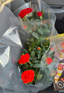 Finally found some roses for Rosie