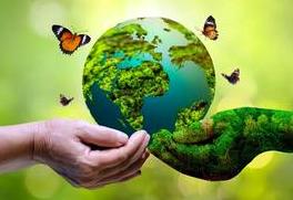Save environment /Protect Environment paragraph writing / Essay writing  std 6 to 12