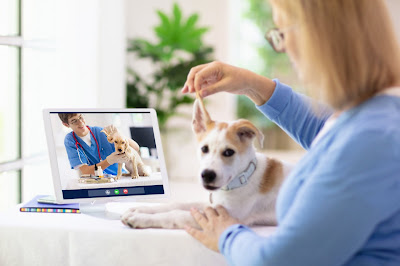 Veterinary telemedicine is a new technology used to ensure that a two-way flow of information is facilitated between field veterinarians and experts, resulting in an enriching experience for the animal husbandry sector.