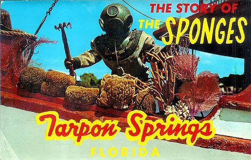 The Story Of The Sponges