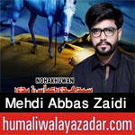 http://www.humaliwalayazadar.com/2016/06/syed-mehdi-abbas-zaidi-nohay-2014-to.html