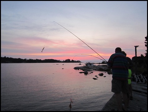 Sommar 2011 221