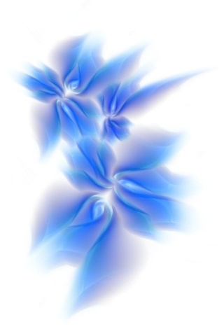 ipod wallpapers. Blue Flower Ipod Wallpapers