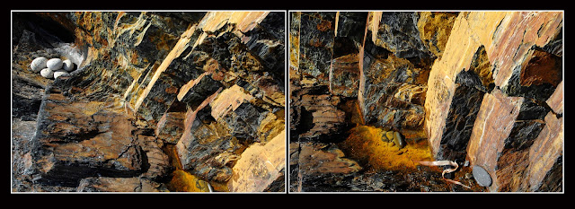 Diptych; Nova Scotia; Cliffs; Rocks; Sea; Ocean