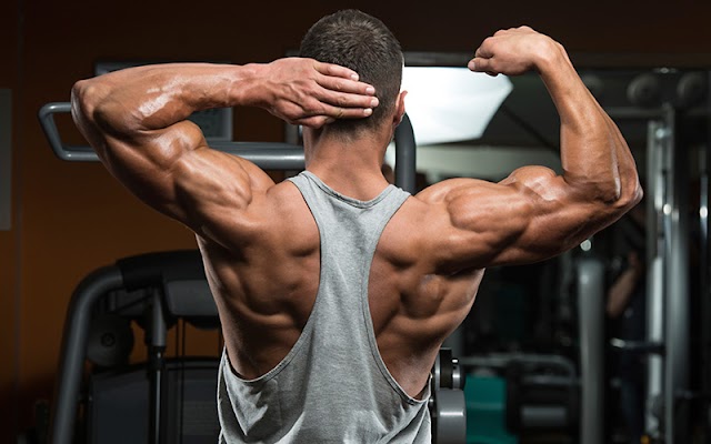 60 Muscle Building Tips