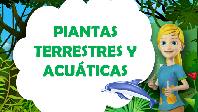 Geografia Plantas Terrestres Y Acuaticas