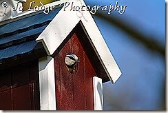 IMG_9702