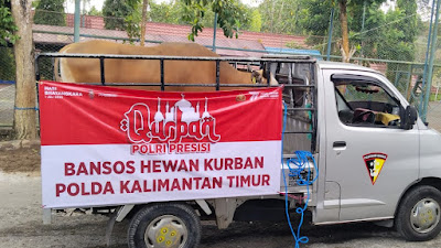 Polda Kaltim Sumbangkan 56 Ekor Sapi dan 7 Ekor Kambing Untuk Qurban.