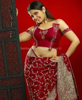 Roma actress hot navel photos