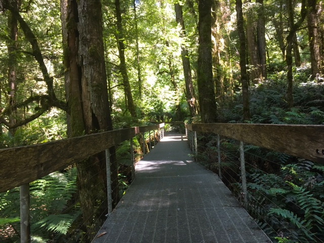 Mt Donna Buang