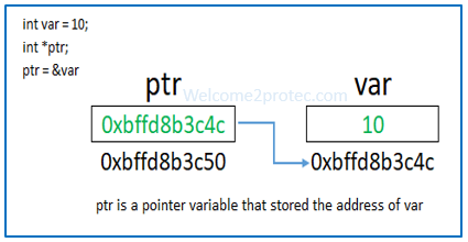 Use of pointer | welcome2protec.com