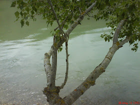 playa nudista Aragón
