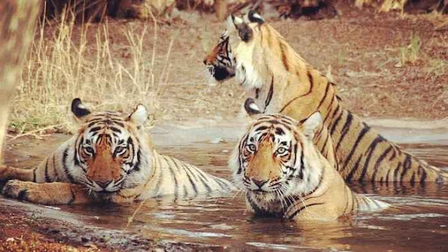 Most beautiful places in India