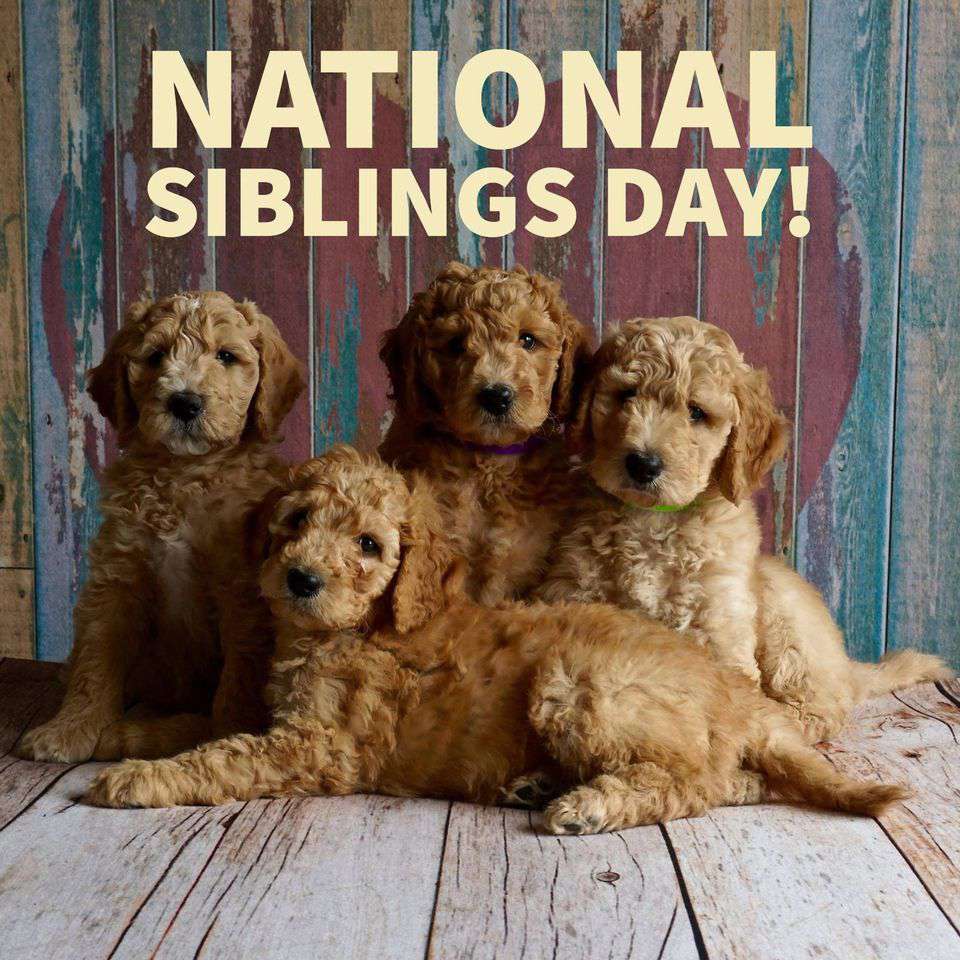 National Siblings Day Wishes for Whatsapp