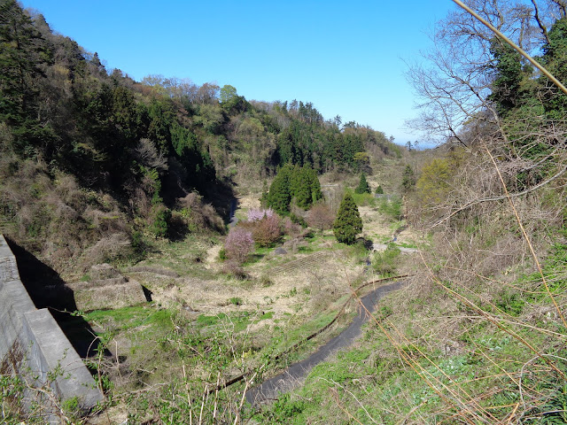 今歩いてきた谷間の道