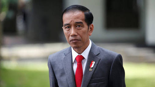 H+2, Presiden RI Joko Widodo Pulang Kampung Halaman