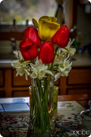 Adjusted Photos (1 of 1)