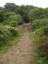 Hadleigh Country Park