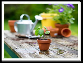 Plastic Planters, designer flower pots