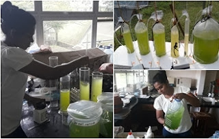 Ruhunu Campus Makes diesel Using algae and coconut scraps